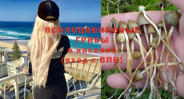 стафф Каменка