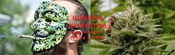 стафф Каменка