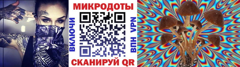 Псилоцибиновые грибы мухоморы  Купить  Дигора 